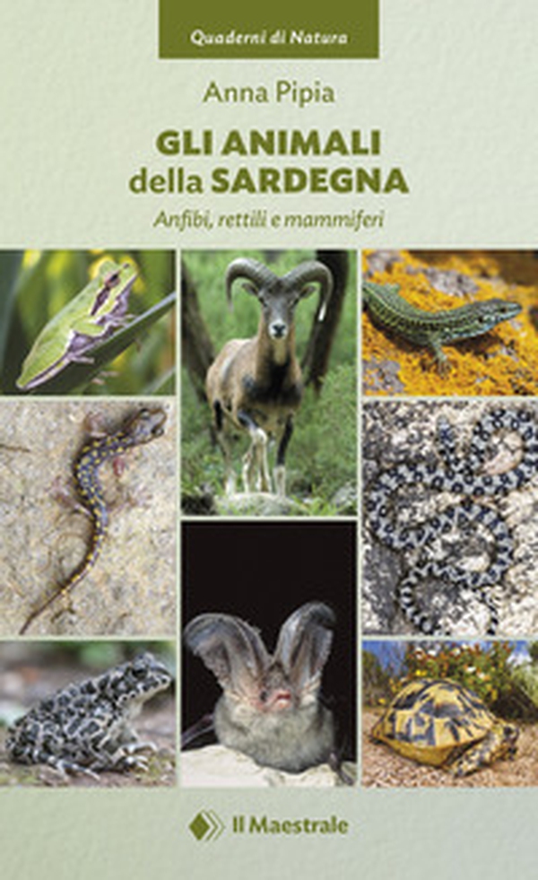 Gli animali della Sardegna. Anfibi, rettili e mammiferi - Librerie.coop Gli animali della Sardegna. Anfibi, rettili e mammiferi - Librerie.coop