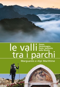 Le valli tra i parchi Marguareis e Alpi Marittime. Gesso, Vermegnana, Pesio, territorio della Bisalta - Librerie.coop