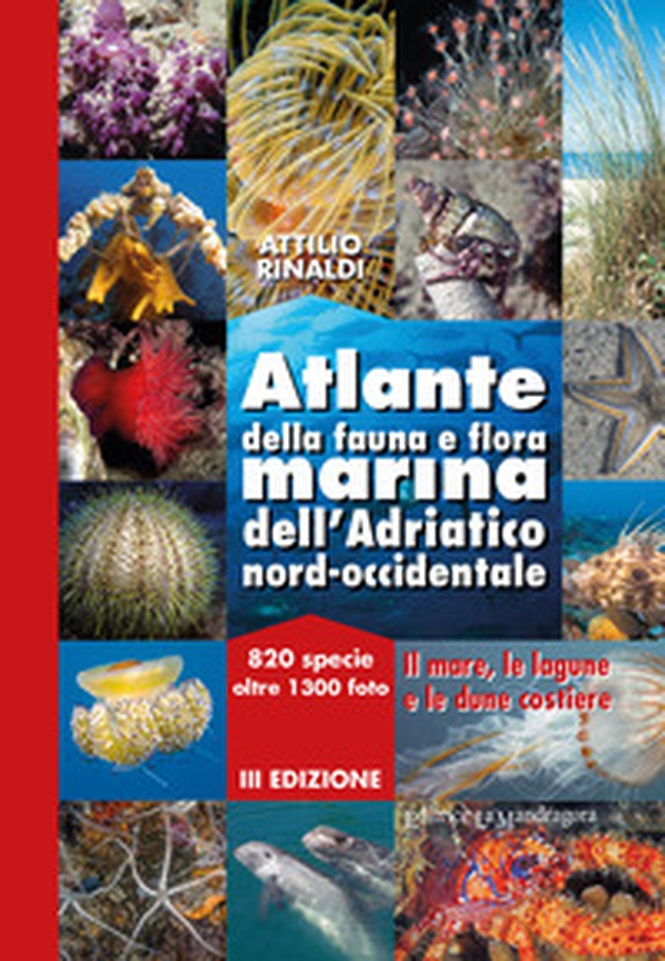Atlante della fauna e flora marina dell'Adriatico nord-occidentale - Librerie.coop Atlante della fauna e flora marina dell'Adriatico nord-occidentale - Librerie.coop