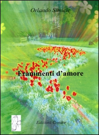 Frammenti d'amore - Librerie.coop