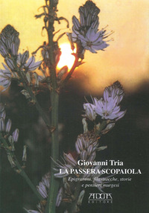 La passera scopaiola. Epigrammi, filastrocche, storie e pensieri murgesi - Librerie.coop La passera scopaiola. Epigrammi, filastrocche, storie e pensieri murgesi - Librerie.coop