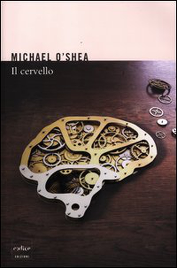 Il cervello - Librerie.coop Il cervello - Librerie.coop
