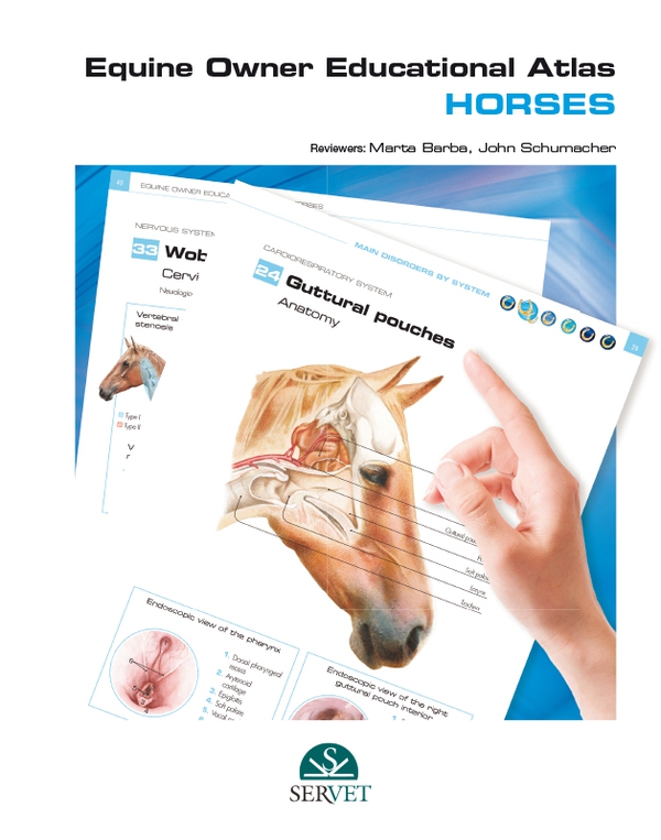 Equine Owner Educational Atlas. Horses - Librerie.coop Equine Owner Educational Atlas. Horses - Librerie.coop