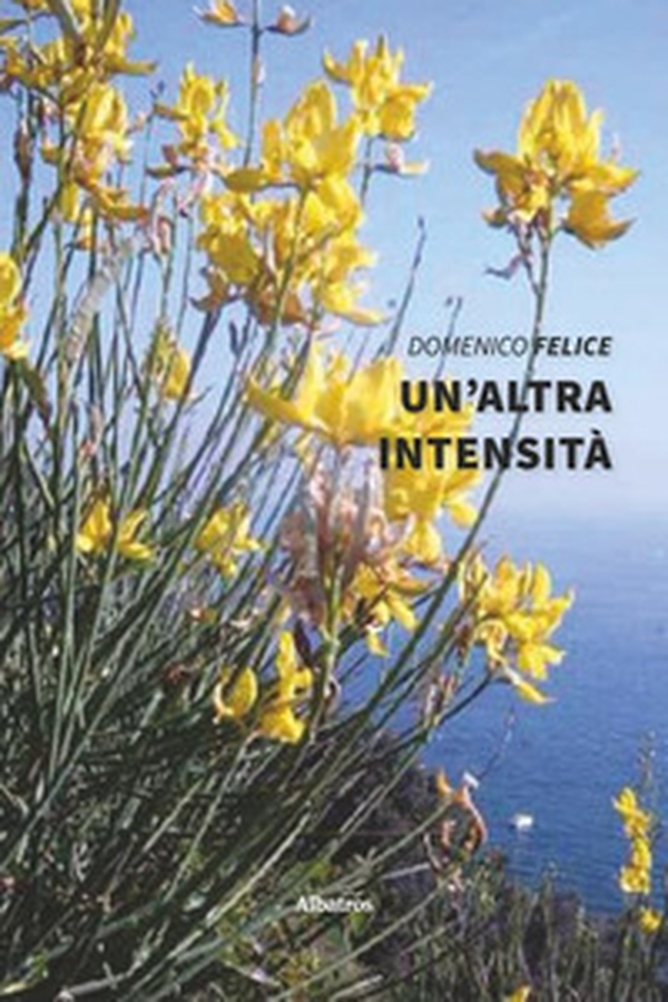 Un'altra intensità - Librerie.coop Un'altra intensità - Librerie.coop