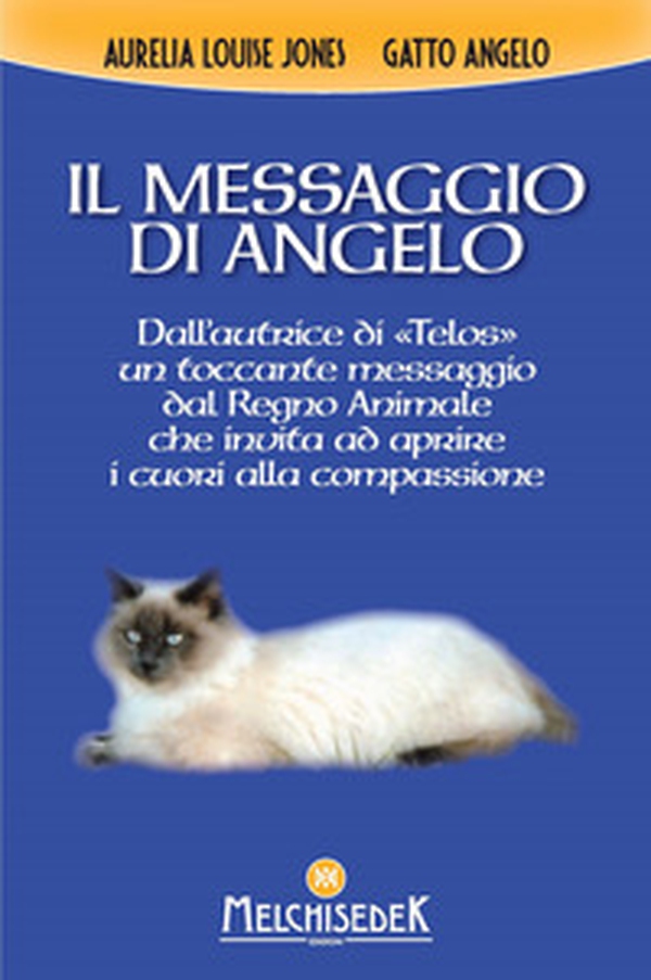 Il messaggio di Angelo - Librerie.coop Il messaggio di Angelo - Librerie.coop