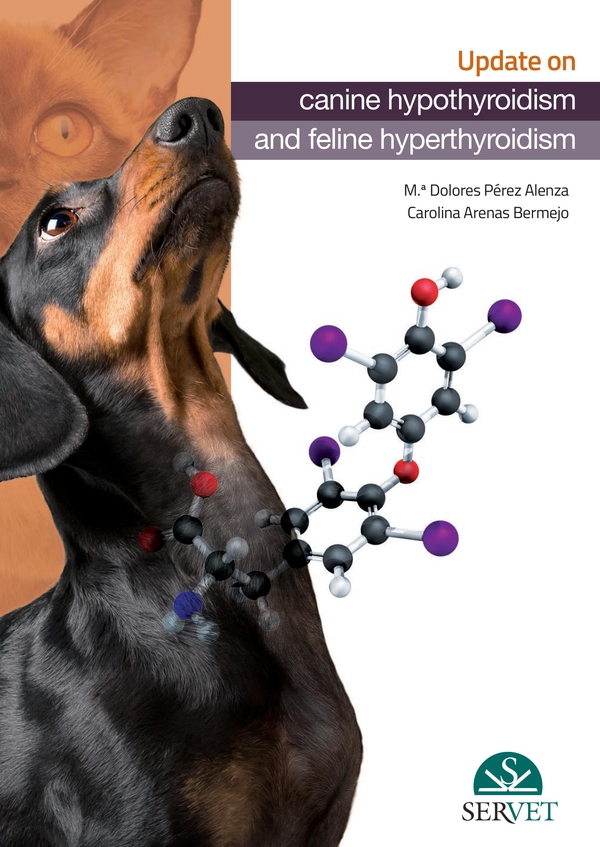 Update about canine hypothyroidism and feline hyperthyroidism - Librerie.coop Update about canine hypothyroidism and feline hyperthyroidism - Librerie.coop