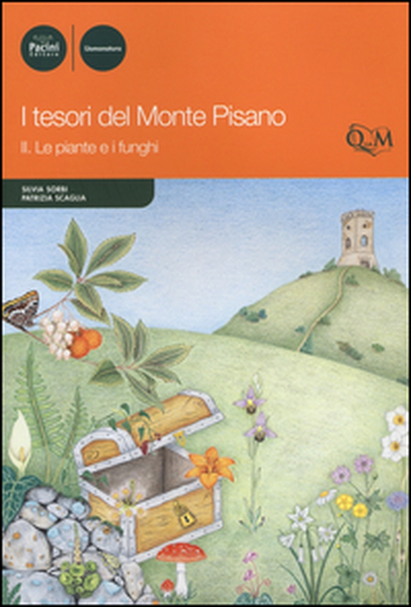 I tesori del monte Pisano - Librerie.coop I tesori del monte Pisano - Librerie.coop