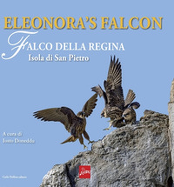 Eleonora's falcon. Falco della regina. Isola di San Pietro - Librerie.coop Eleonora's falcon. Falco della regina. Isola di San Pietro - Librerie.coop