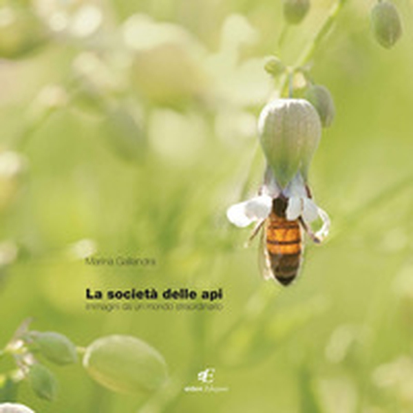 La società delle api. Immagini di un mondo staordinario. Ediz. italiana e inglese - Librerie.coop La società delle api. Immagini di un mondo staordinario. Ediz. italiana e inglese - Librerie.coop