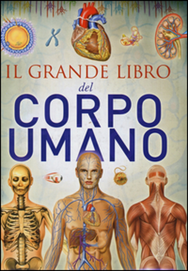 Il grande libro del corpo umano - Librerie.coop Il grande libro del corpo umano - Librerie.coop
