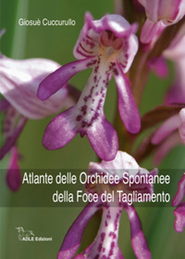 Atlante delle orchidee spontanee della foce del Tagliamento - Librerie.coop Atlante delle orchidee spontanee della foce del Tagliamento - Librerie.coop