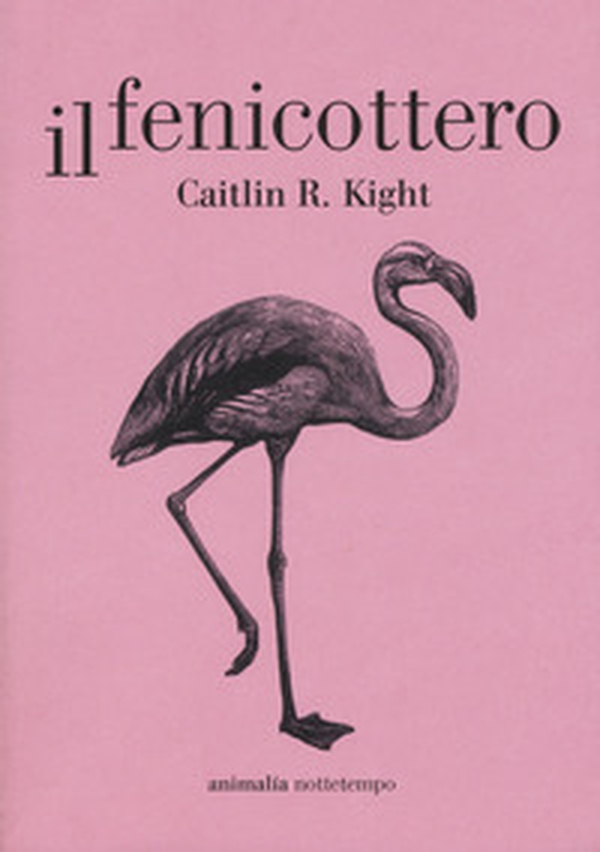 Il fenicottero - Librerie.coop Il fenicottero - Librerie.coop