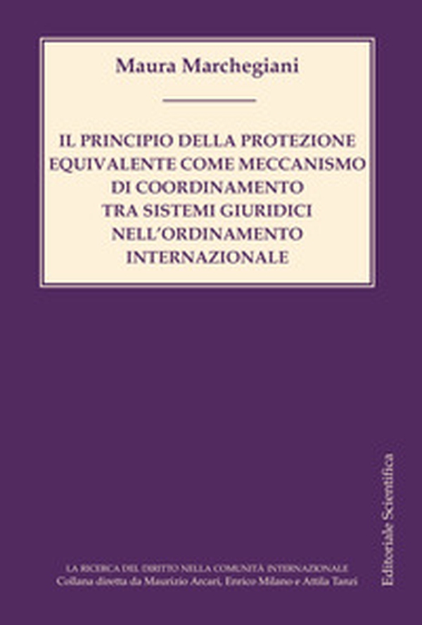 Il principio della protezione equivalente come meccanismo di coordinamento tra sistemi giuridici nell'ordinamento internazionale - Librerie.coop Il principio della protezione equivalente come meccanismo di coordinamento tra sistemi giuridici nell'ordinamento internazionale - Librerie.coop