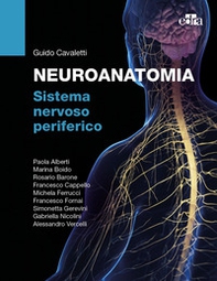Neuroanatomia. Sistema nervoso periferico - Librerie.coop