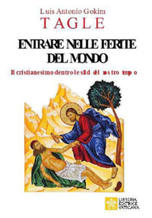 Entrare nelle ferite del mondo. Il cristianesimo dentro le sfide del nostro tempo - Librerie.coop Entrare nelle ferite del mondo. Il cristianesimo dentro le sfide del nostro tempo - Librerie.coop