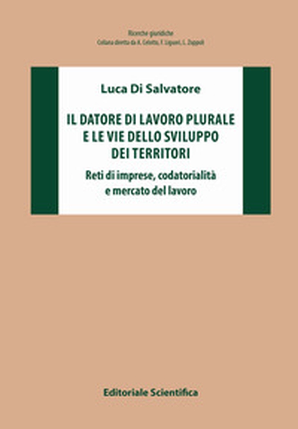 Il datore di lavoro plurale e le vie dello sviluppo dei territori. Reti di imprese, codatorialità e mercato del lavoro - Librerie.coop Il datore di lavoro plurale e le vie dello sviluppo dei territori. Reti di imprese, codatorialità e mercato del lavoro - Librerie.coop