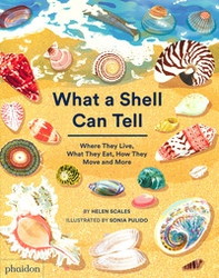 What a shell can tell. Where they live, what they eat, how they move and more - Librerie.coop