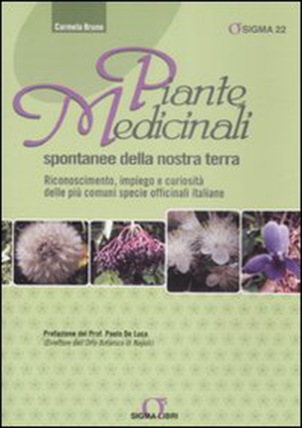 Piante medicinali spontanee della nostra terra. Riconoscimento, impiego e curiosità delle più comuni specie officinali italiane - Librerie.coop Piante medicinali spontanee della nostra terra. Riconoscimento, impiego e curiosità delle più comuni specie officinali italiane - Librerie.coop