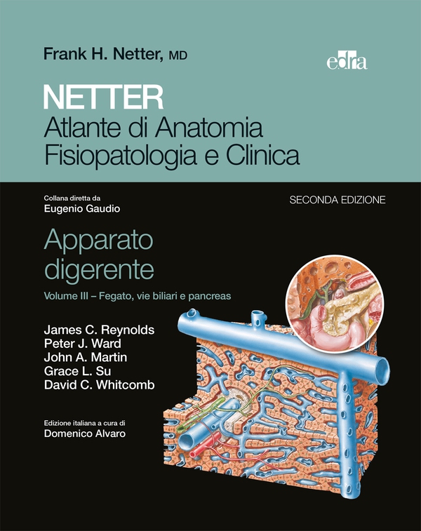 NETTER Atlante di anatomia fisiopatologia e clinica: Apparato digerente 3 - Librerie.coop NETTER Atlante di anatomia fisiopatologia e clinica: Apparato digerente 3 - Librerie.coop