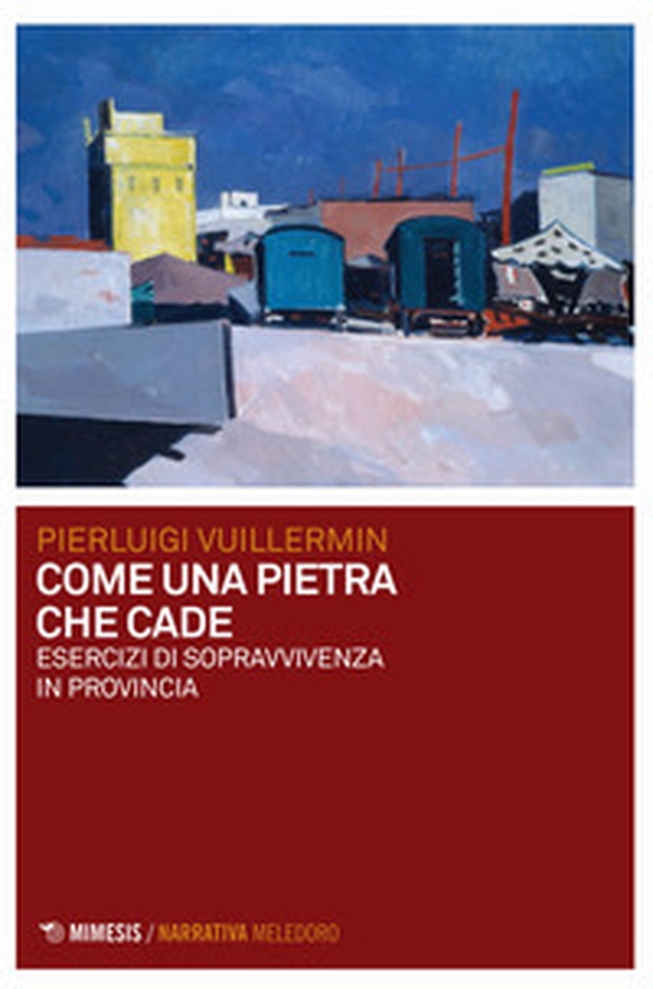 Come una pietra che cade. Esercizi di sopravvivenza in provincia - Librerie.coop Come una pietra che cade. Esercizi di sopravvivenza in provincia - Librerie.coop