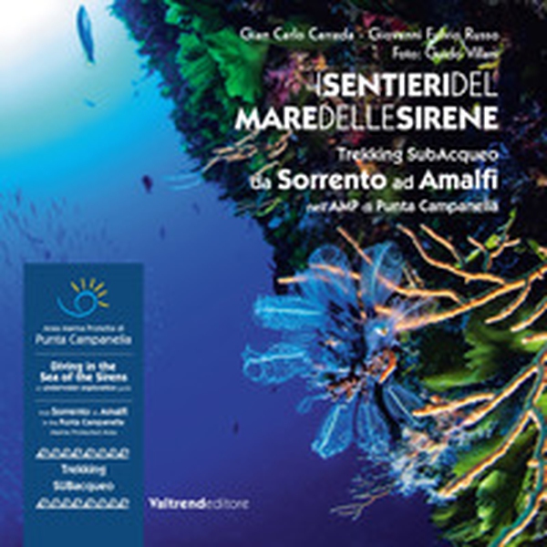 I sentieri del mare delle sirene. Trekking subacqueo da Sorrento ad Amalfi nell'AMP di Punta Campanella. Ediz. italiana e inglese - Librerie.coop I sentieri del mare delle sirene. Trekking subacqueo da Sorrento ad Amalfi nell'AMP di Punta Campanella. Ediz. italiana e inglese - Librerie.coop