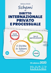 Schemi di diritto internazionale privato e processuale - Librerie.coop