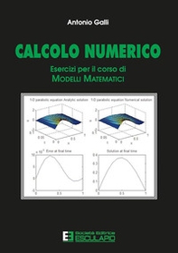 Calcolo numerico. Esercizi per il corso di modelli matematici - Librerie.coop