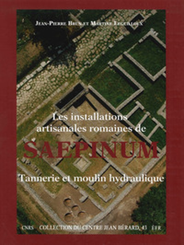 Les installations artisanales romaines de Saepinum. Tannerie et moulin hydraulique - Librerie.coop Les installations artisanales romaines de Saepinum. Tannerie et moulin hydraulique - Librerie.coop