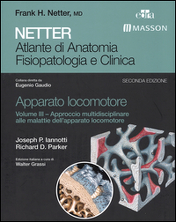 Netter. Atlante di anatomia fisiopatologia e clinica. Apparato locomotore - Librerie.coop Netter. Atlante di anatomia fisiopatologia e clinica. Apparato locomotore - Librerie.coop
