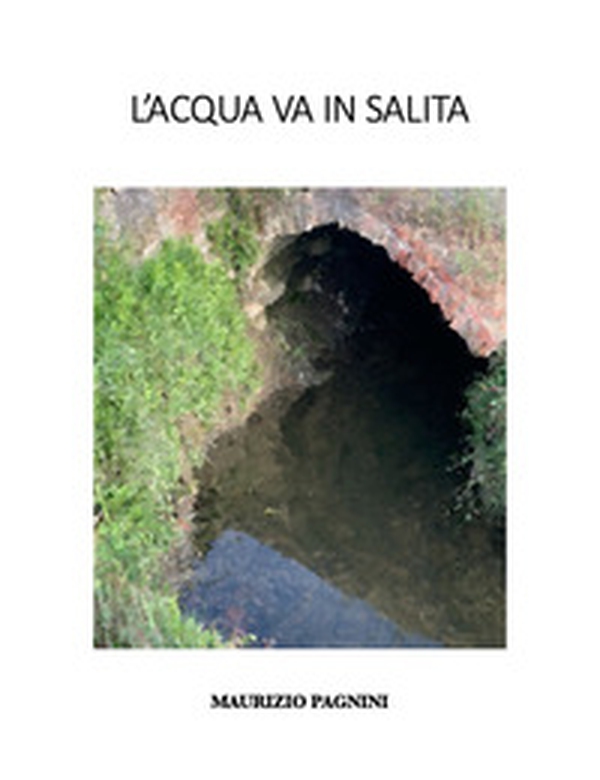 L'acqua va in salita - Librerie.coop L'acqua va in salita - Librerie.coop