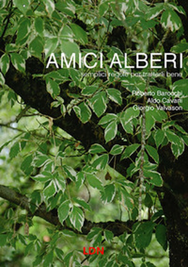 Amici alberi. Semplici regole per trattarli bene - Librerie.coop Amici alberi. Semplici regole per trattarli bene - Librerie.coop