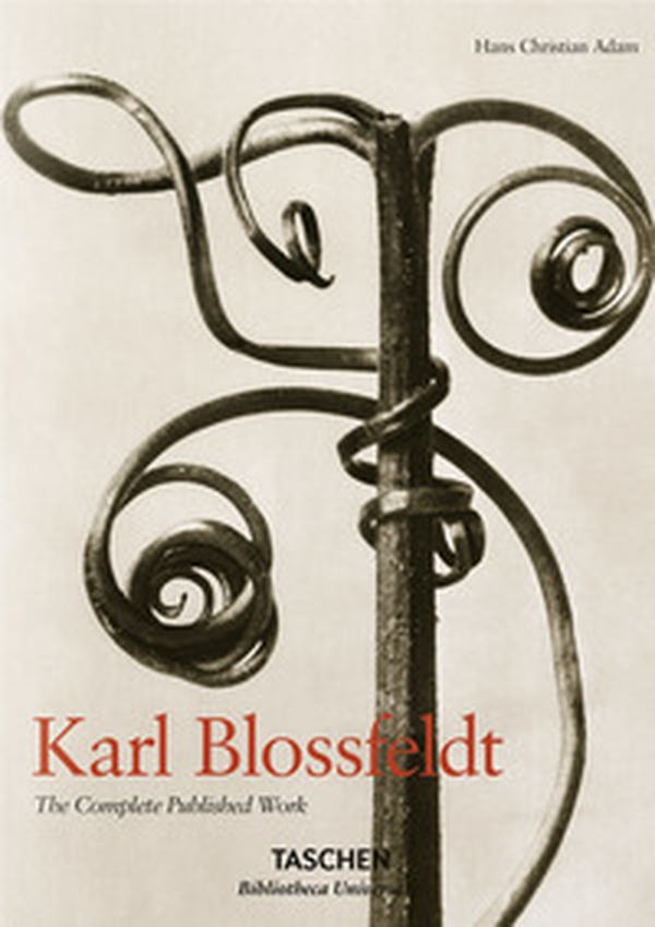 Karl Blossfeldt. L'incanto della flora. Ediz. italiana, spagnola e portoghese - Librerie.coop Karl Blossfeldt. L'incanto della flora. Ediz. italiana, spagnola e portoghese - Librerie.coop