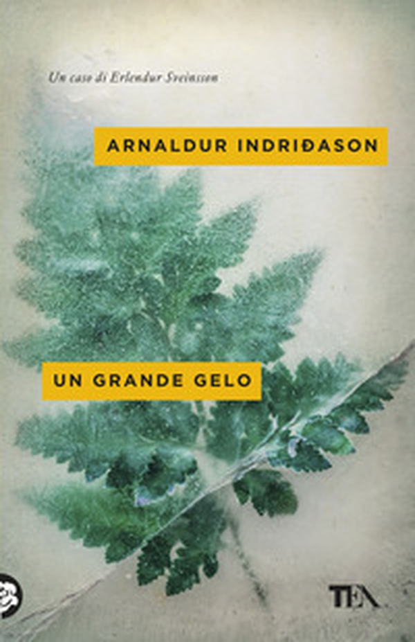 Un grande gelo. I casi dell'ispettore Erlendur Sveinsson - Vol. 5 - Librerie.coop Un grande gelo. I casi dell'ispettore Erlendur Sveinsson - Vol. 5 - Librerie.coop