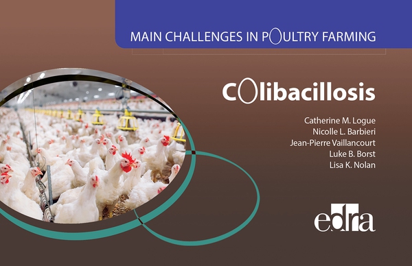 Main Challenges in Poultry Farming. Colibacillosis - Librerie.coop Main Challenges in Poultry Farming. Colibacillosis - Librerie.coop