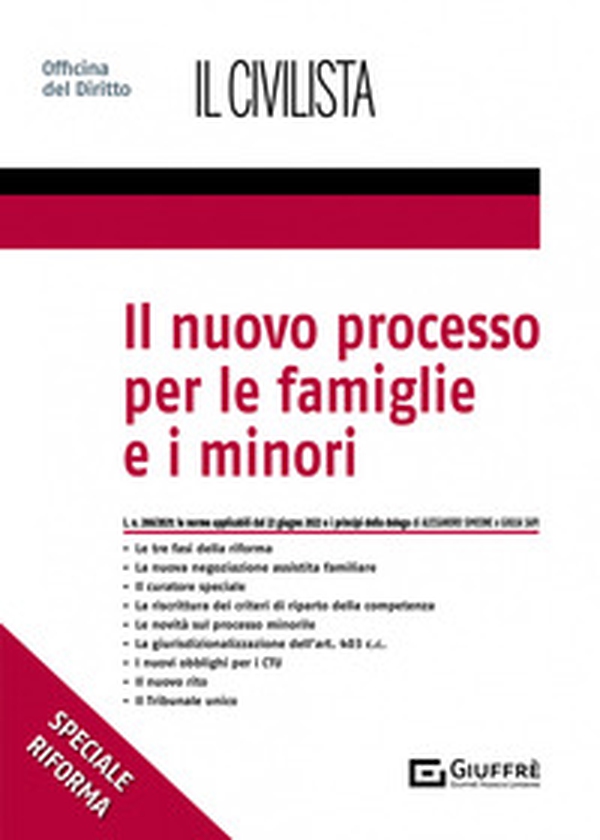 Il nuovo processo per le famiglie e i minori - Librerie.coop Il nuovo processo per le famiglie e i minori - Librerie.coop