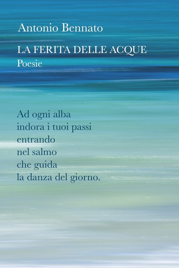 La ferita delle acque - Librerie.coop La ferita delle acque - Librerie.coop