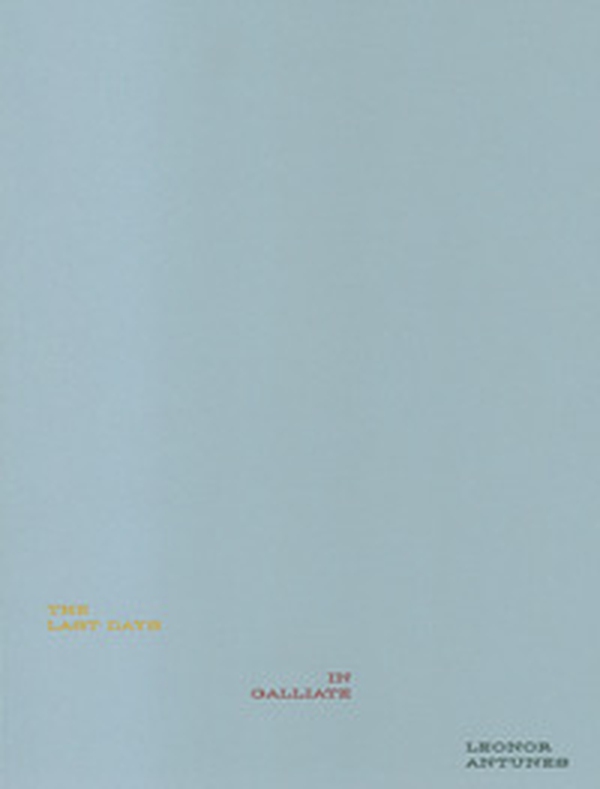 Leonor Antunes. The last days in Galliate. Ediz. italiana e inglese - Librerie.coop Leonor Antunes. The last days in Galliate. Ediz. italiana e inglese - Librerie.coop
