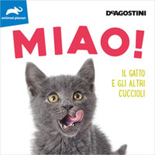 Miao! Il gatto e gli altri cuccioli - Librerie.coop Miao! Il gatto e gli altri cuccioli - Librerie.coop