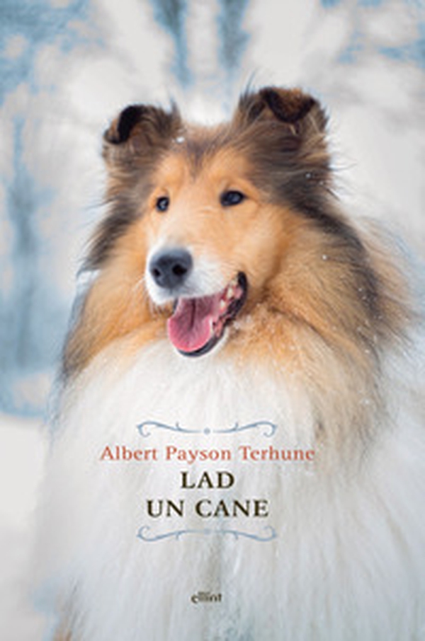 Lad. Un cane - Librerie.coop Lad. Un cane - Librerie.coop