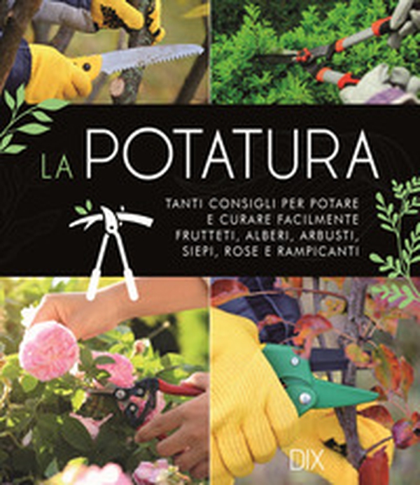 La potatura. Tanti consigli per potare e curare facilmente frutteti, alberi, arbusti, siepi, rose e rampicanti - Librerie.coop La potatura. Tanti consigli per potare e curare facilmente frutteti, alberi, arbusti, siepi, rose e rampicanti - Librerie.coop