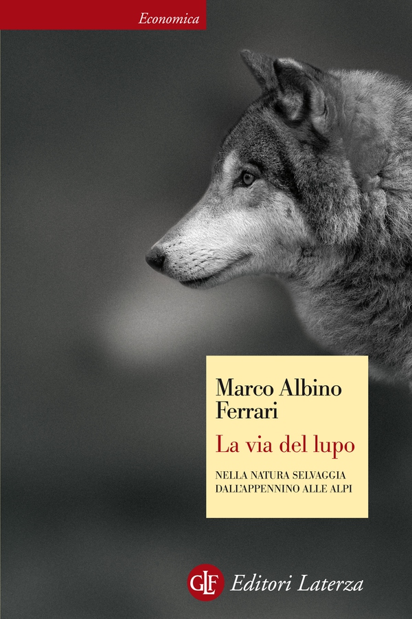 La via del lupo - Librerie.coop La via del lupo - Librerie.coop