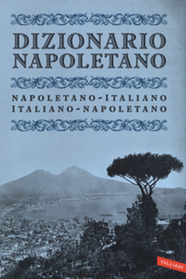 Dizionario napoletano - Librerie.coop Dizionario napoletano - Librerie.coop