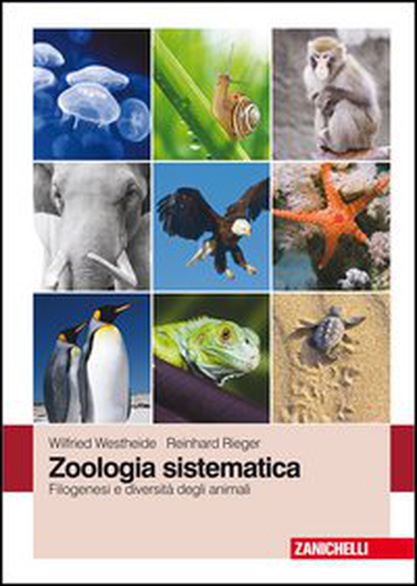 Zoologia sistematica. Filogenesi e diversità degli animali - Librerie.coop Zoologia sistematica. Filogenesi e diversità degli animali - Librerie.coop