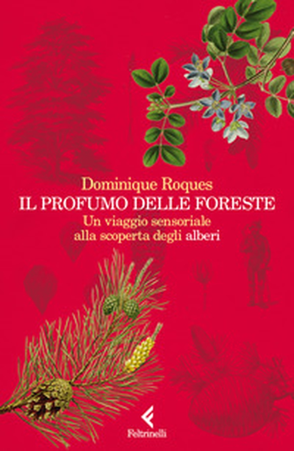 Il profumo delle foreste. Un viaggio sensoriale alla scoperta degli alberi - Librerie.coop Il profumo delle foreste. Un viaggio sensoriale alla scoperta degli alberi - Librerie.coop