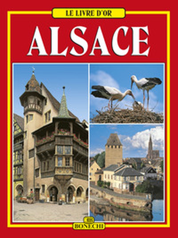 Alsazia. Ediz. francese - Librerie.coop Alsazia. Ediz. francese - Librerie.coop