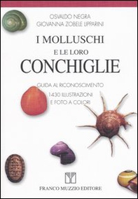 I molluschi e le loro conchiglie. Guida al riconoscimento - Librerie.coop