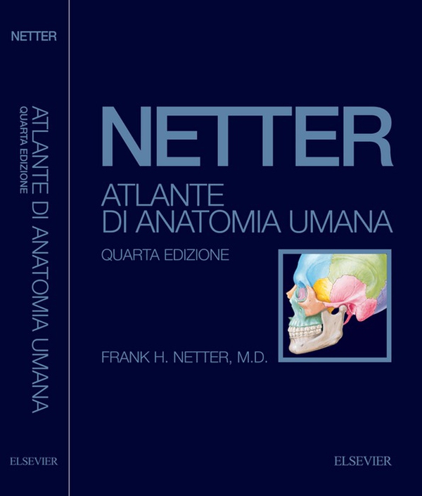 Atlante di anatomia umana - Librerie.coop Atlante di anatomia umana - Librerie.coop