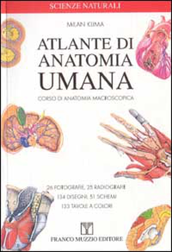Atlante di anatomia umana. Corsi di anatomia macroscopica - Librerie.coop Atlante di anatomia umana. Corsi di anatomia macroscopica - Librerie.coop