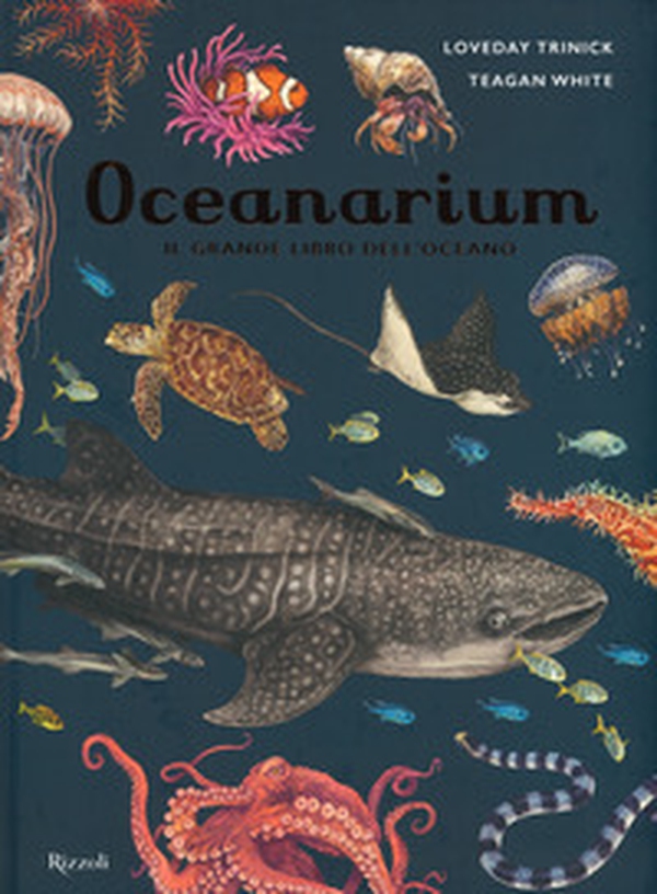 Oceanarium. Il grande libro dell'oceano - Librerie.coop Oceanarium. Il grande libro dell'oceano - Librerie.coop