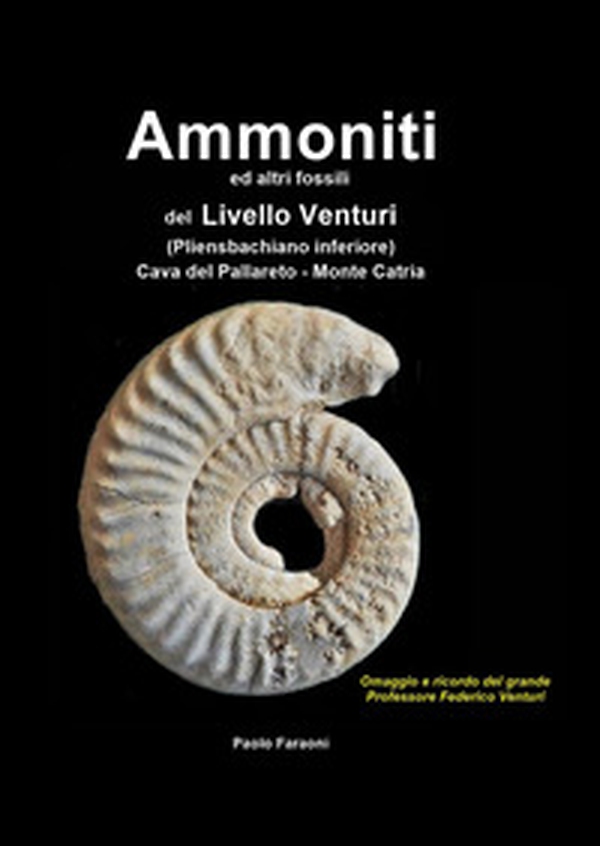 Ammoniti ed altri fossili del Livello Venturi (Pliensbachiano inferiore) Cava del Pallareto - Monte Catria - Librerie.coop Ammoniti ed altri fossili del Livello Venturi (Pliensbachiano inferiore) Cava del Pallareto - Monte Catria - Librerie.coop